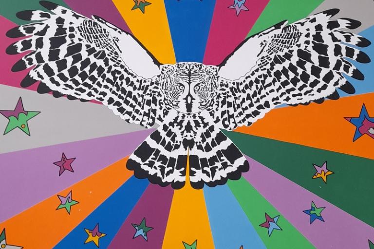 An Owl with wings spread over a colourful background